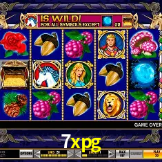 7xpg Rio de Janeiro - Bonus Terms
